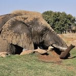 African Hills Safari Lodge & Spa5