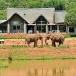 African Hills Safari Lodge & Spa6