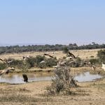 African Hills Safari Lodge & Spa8